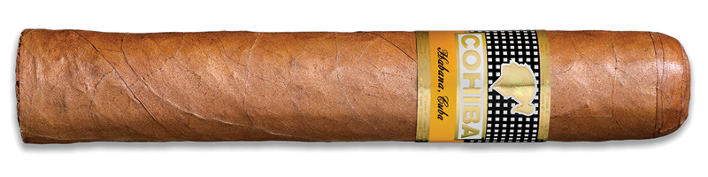 Robusto