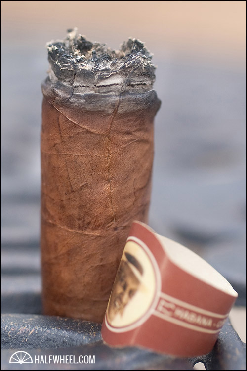 Montecristo Compay 95 Aniversario Salomones II 4.jpg