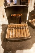 高希霸 尼加拉瓜 COHIBA NICARAGUA N54 雪茄