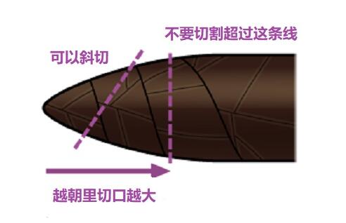 雪茄刀怎么用