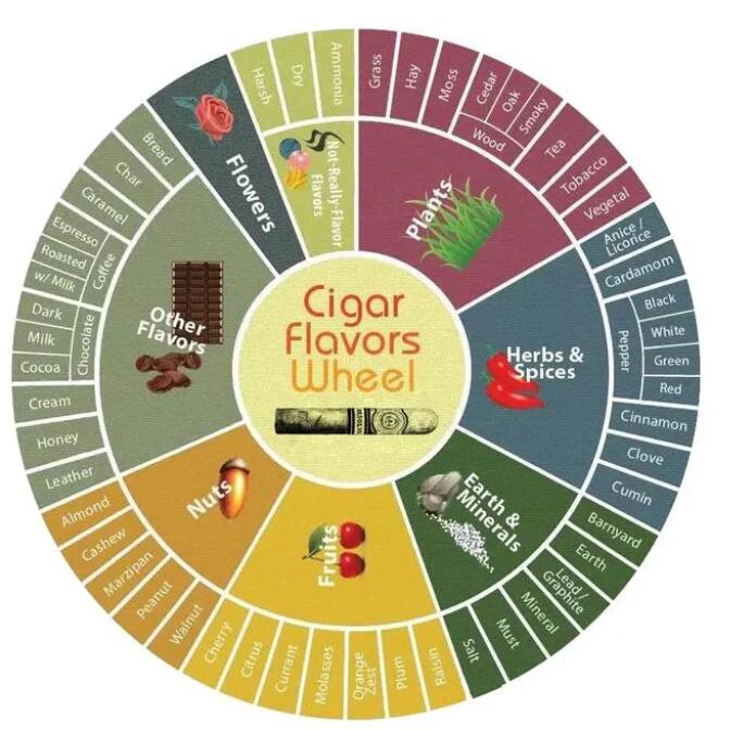 雪茄味道，雪茄什么味，雪茄什么味道