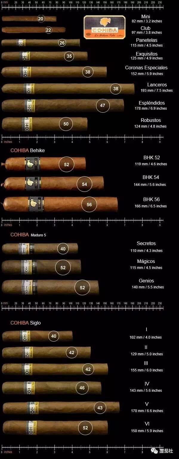 雪茄尺寸图5