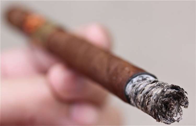 科罗纳多，La Flor Lancero 4.JPG