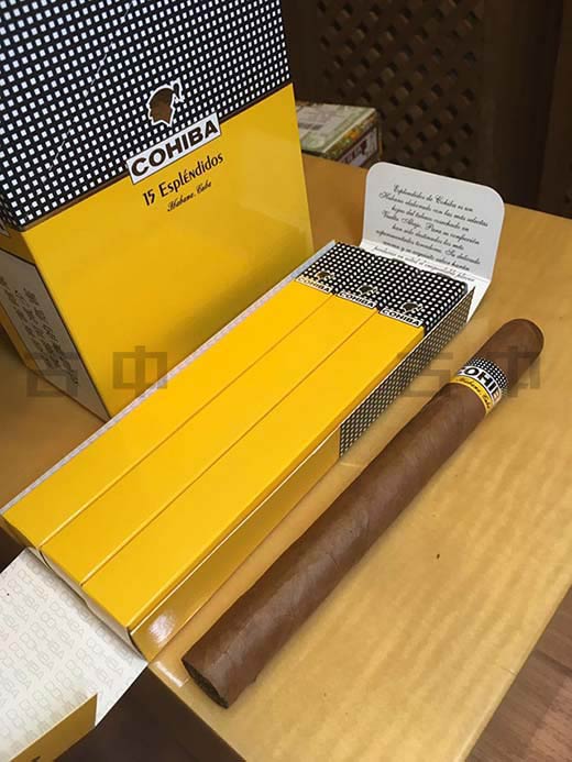 高希霸导师 Cohiba Esplendido