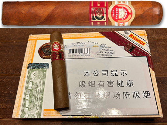 优民皇家罗布图 Royal Robusto